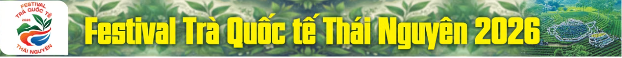 image advertisement